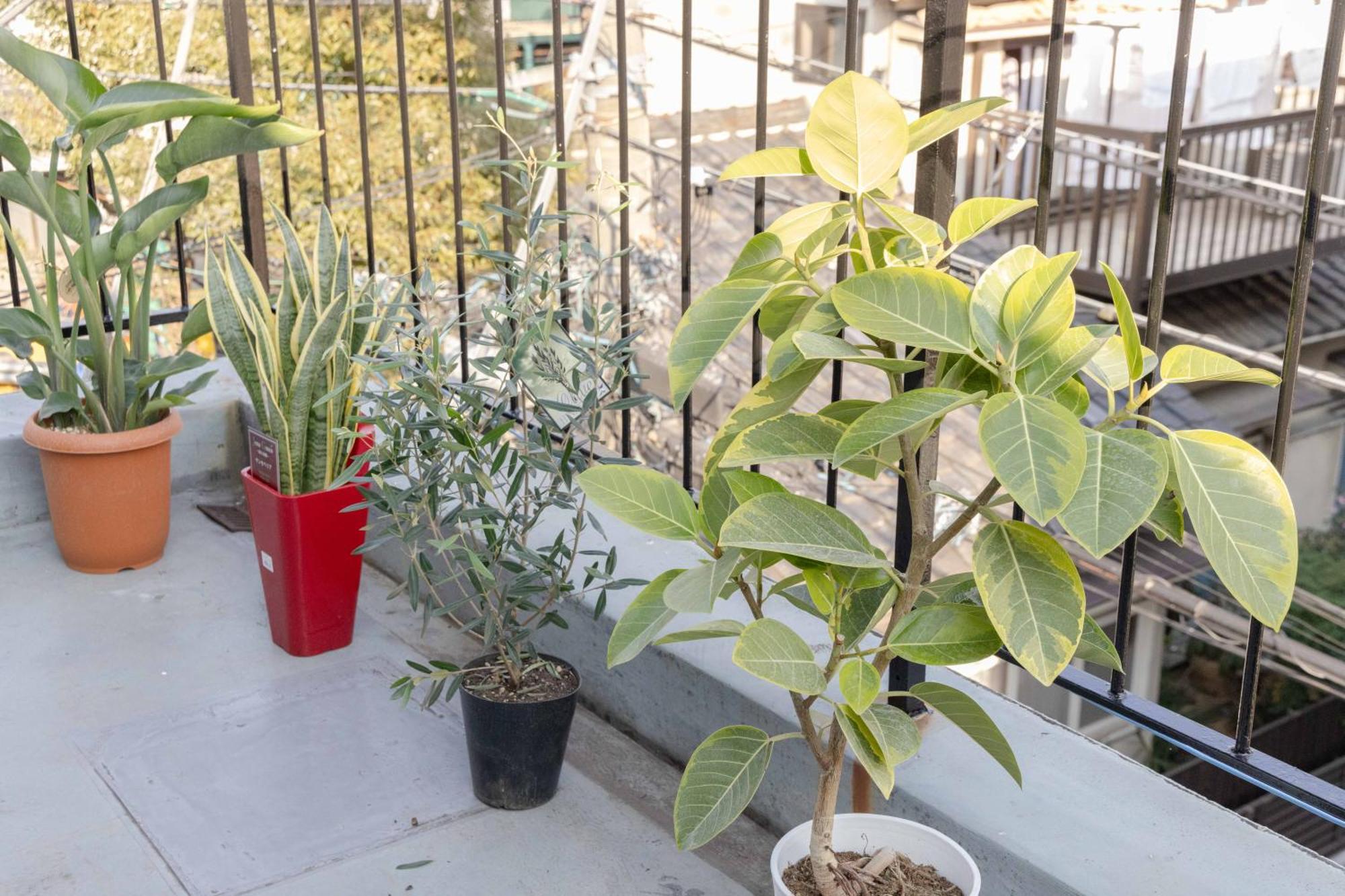 Apartamento Buran House Tokio Exterior foto